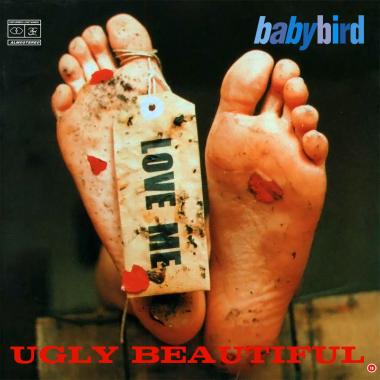 Babybird -  Ugly Beautiful